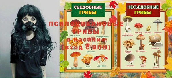 спайс Баксан