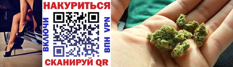 Канабис сатива  Купить  Елабуга 